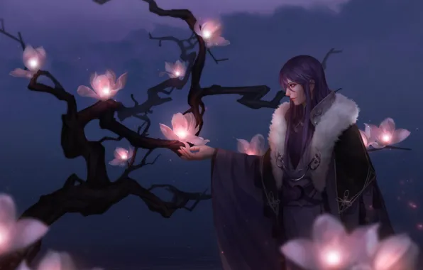 Picture flowers, night, tree, branch, anime, art, guy, vocaloid