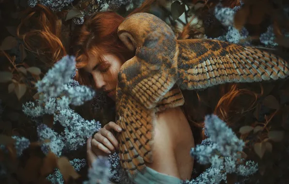 Girl, owl, red hair, lilac, Marketa Novak
