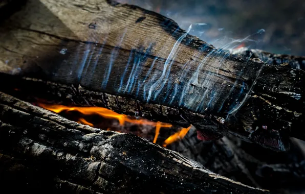 Macro, fire, logs
