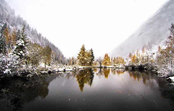 Winter, snow, trees, mountains, fog, lake, reflection, mirror
