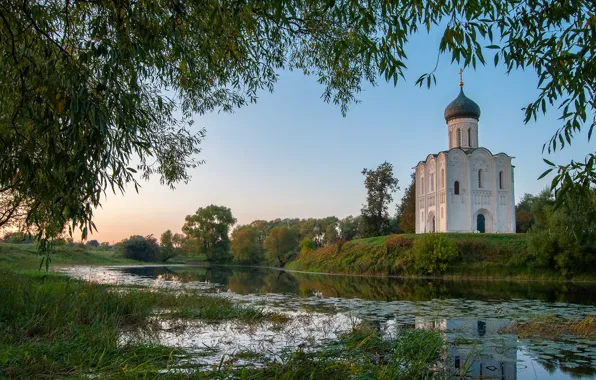 Picture autumn, trees, landscape, branches, nature, river, morning, Church