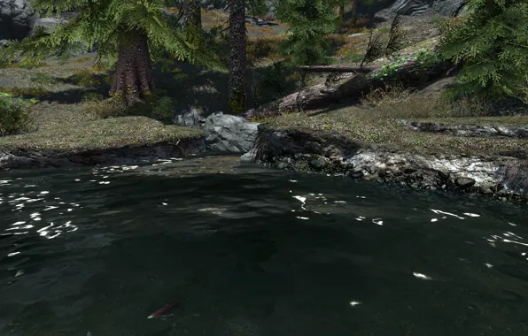 Lake, stone, spruce, stone, lake, skyrim, Skyrim, fish