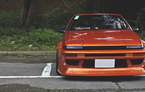Toyota, corolla, Toyota, Corolla