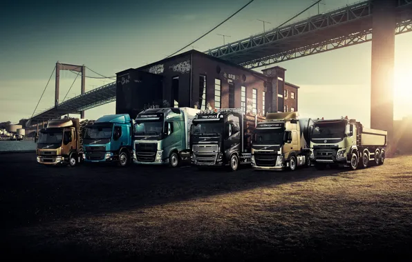 Picture Volvo, Blik, bridge, front, trailer, tractor, Trucks, lineup