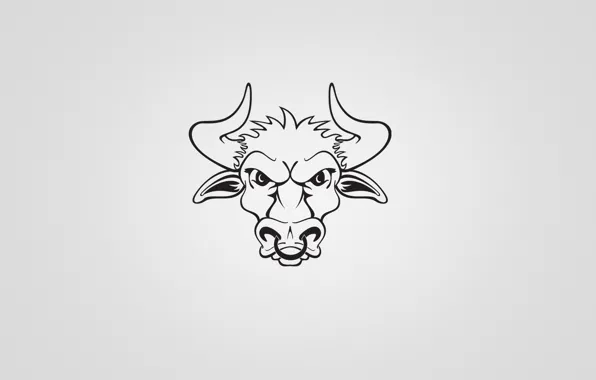 Wallpaper minimalism, horns, bull, bull for mobile and desktop, section