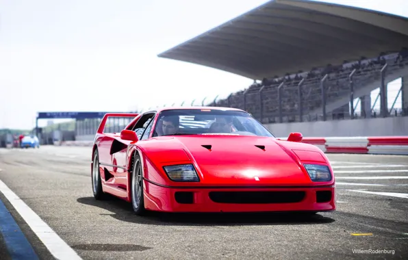 Red, Auto, Machine, Ferrari, Ferrari, F40, Supercar, Track