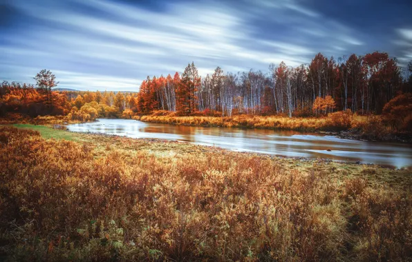Autumn, forest, the sky, clouds, river, shore, for, the bushes