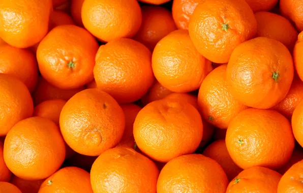 Oranges, fruit, leaves, fruits, oranges