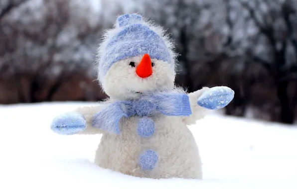 Picture toy, new year, snowman