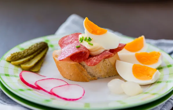 Picture eggs, plate, sausage, cutting, sandwiches, pickles, radishes