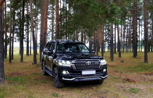 Picture black, TD exclusive, Toyota SUV