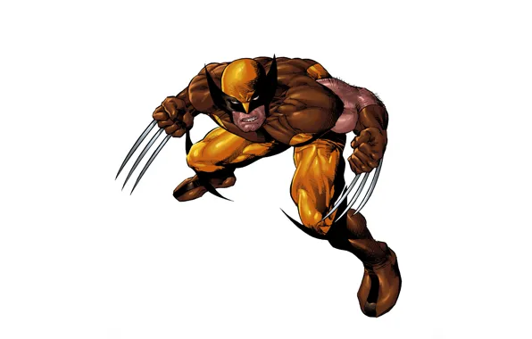 Wolverine, Wolverine, superhero