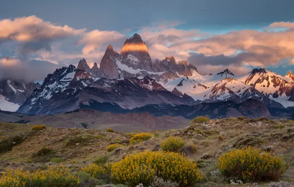 Picture border, Chile, Argentina, Patagonia, the Fitz Roy mountain, desert Monte