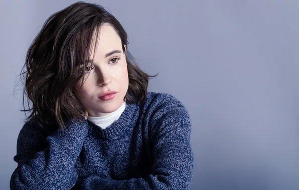 Background, actress, brunette, hairstyle, photographer, photoshoot, sweater, Ellen Page