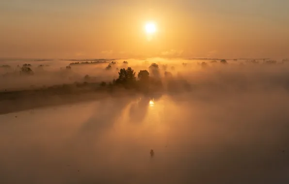 Fog, river, The sun, river, sun, fog, Dmitry Zakharov