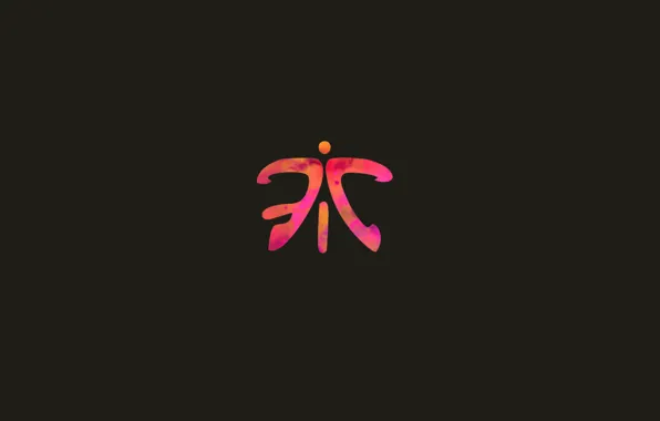Game, team, counter-strike, fnatic, pro, pro game