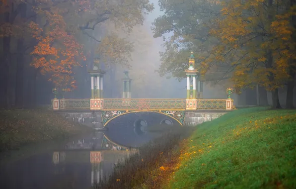 Autumn, trees, bridge, fog, river, Gordeev Edward, Saint Petersburg