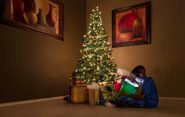 Holiday, boy, tree