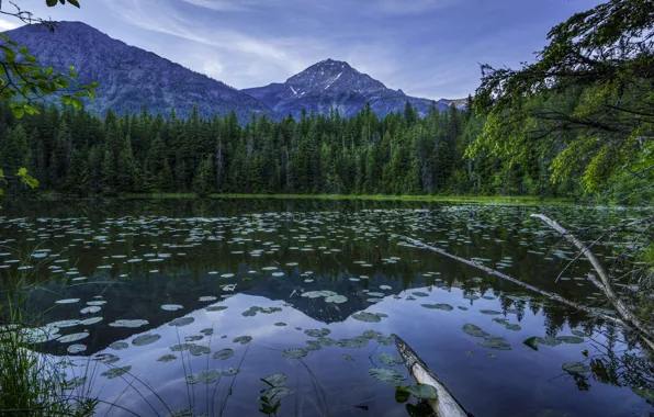 Forest, mountains, lake, HDR, USA, Glacier, Johns Lake