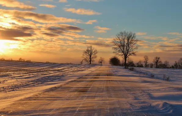 Cold, winter, road, snow, trees, frost, drifting snow