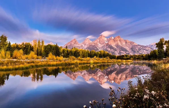 Forest, the sky, mountains, nature, river