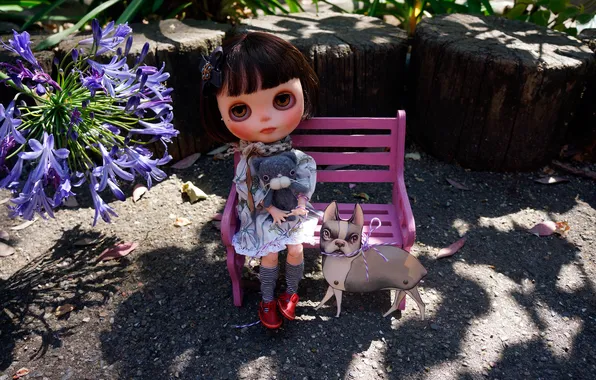 Cat, toys, doll, bench