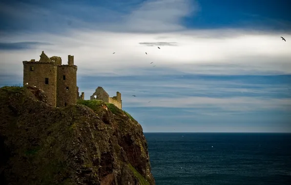 Sea, castle, seagulls, Scotland, Of dunnottar