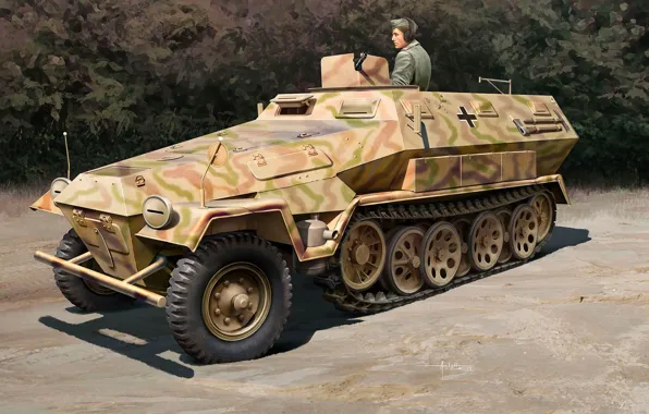 Germany, APC, The Wehrmacht, Sd Kfz 251, Hanomag, MG 34