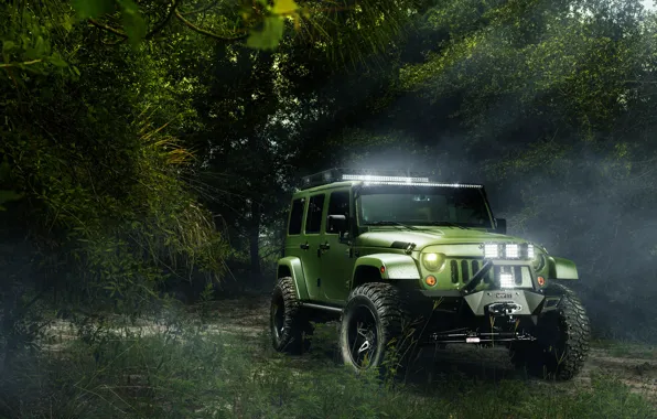 Picture forest, green, Jeep