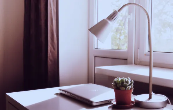 Table, plant, lamp, apple, the door, window, balcony, laptop