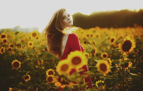 Summer, sunflowers, the girl in the red