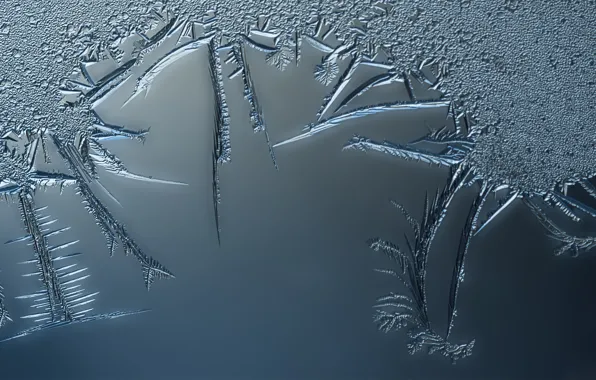 Ice, winter, glass, pattern, frost, frost