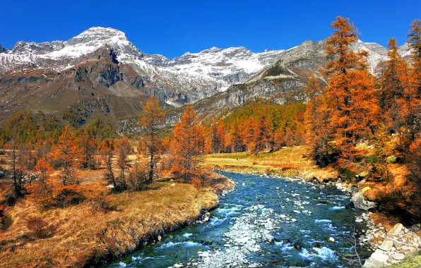 Autumn, snow, trees, mountains, nature, river, Italy, Trackware