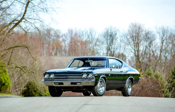 Picture Chevrolet, 1969, Chevelle, Yenko, COPO