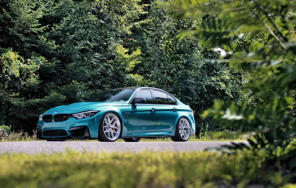 BMW, Blue, F80, Foliage