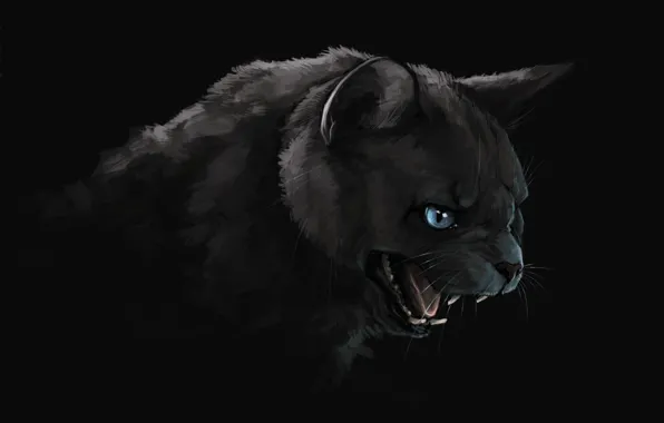Picture darkness, mouth, fangs, black cat, art, evil eye, Brevisart