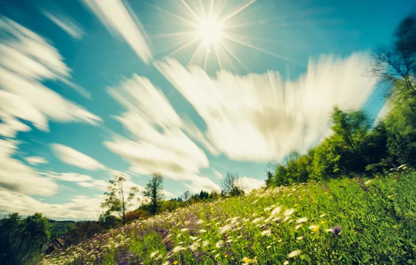 Picture greens, summer, the sky, grass, the sun, clouds, rays, light