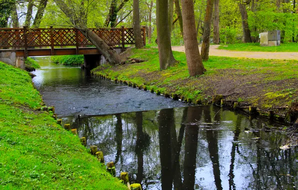 River, water, brook, park, spring