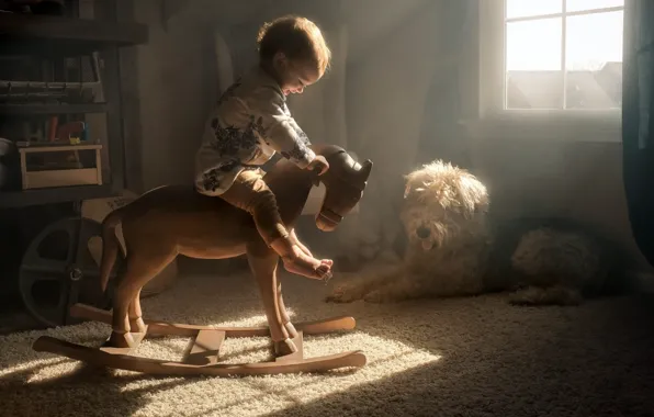 Picture comfort, house, horse, dog, child