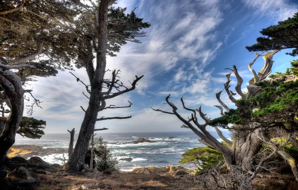 Sea, landscape, shore