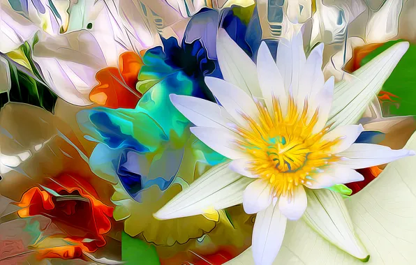 Macro, flowers, nature, petals