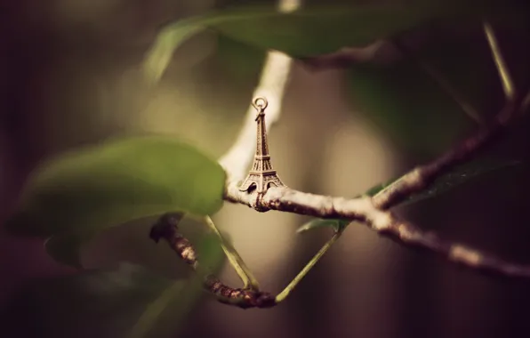 Picture leaves, branches, Eiffel tower, suspension, figure