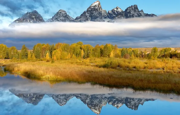 Picture nature, Wyoming, Grand Teton National Park