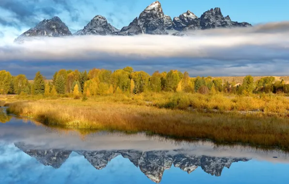 Nature, Wyoming, Grand Teton National Park