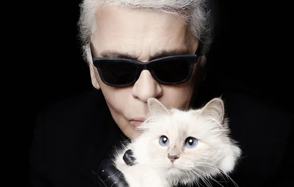 Look, glasses, black background, men, German fashion designer, cat supect ("Cabbage"), black - white - …