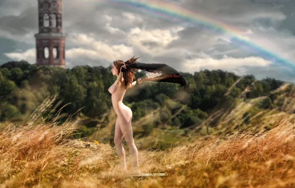 Chest, the sky, grass, the sun, trees, landscape, clouds, model