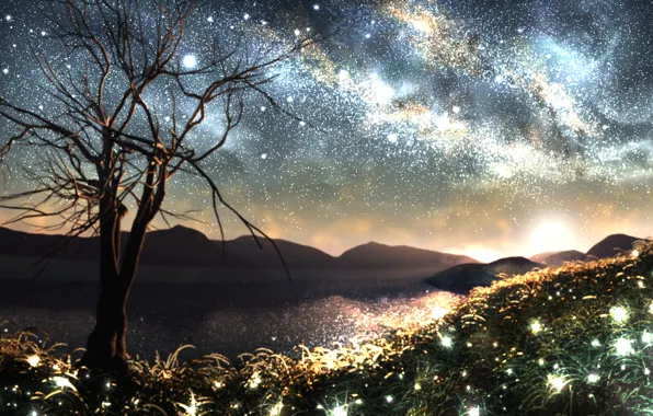 Grass, space, stars, nature, fireflies, tree, horizon, art