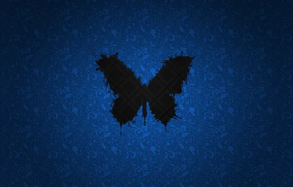 Picture black, blue, butterfly