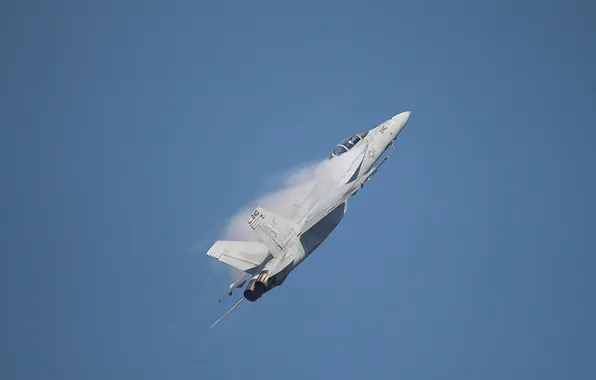 The sky, flight, the plane, fighter, show, F-18F Super Hornet
