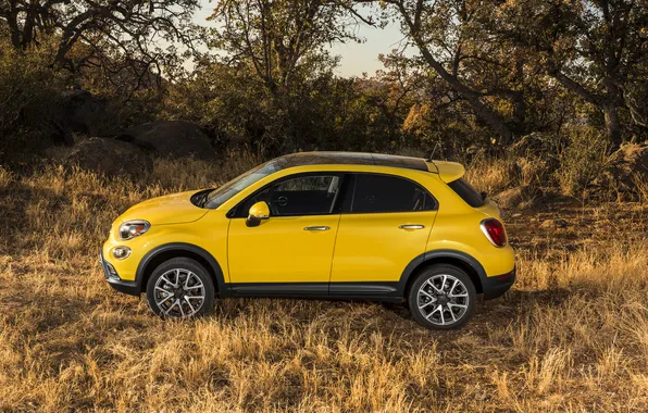 Picture yellow, photo, car, side, metallic, Fiat, 2014, 500X